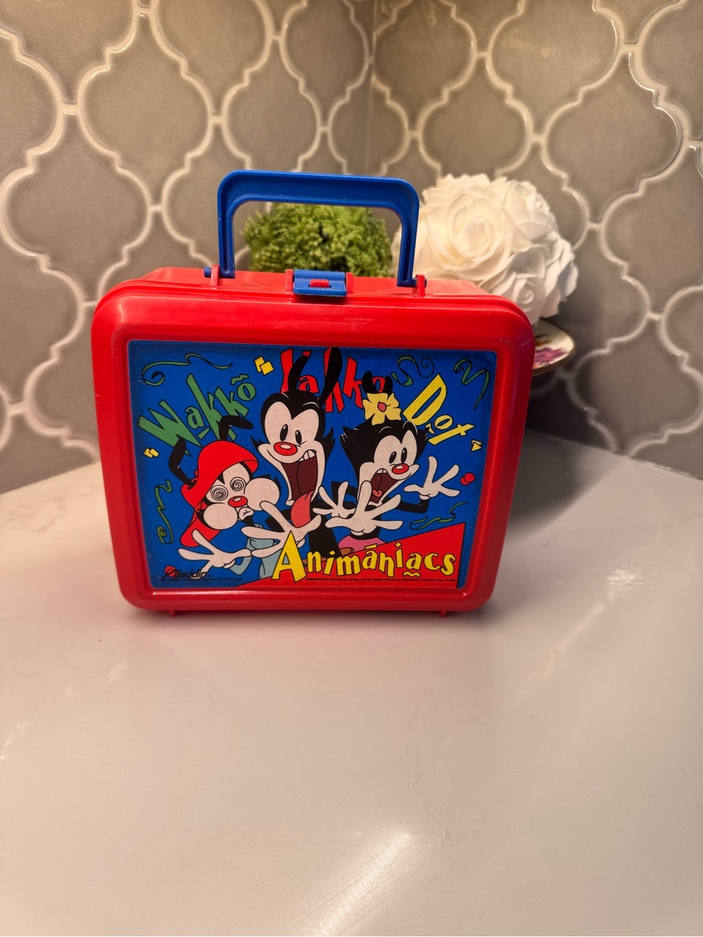Vintage 1994 Animaniacs Aladdin Lunch Box + Thermos Complete 90s